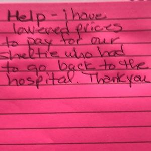 Dog - our Sheltie is sick 😷. Please help 🙏